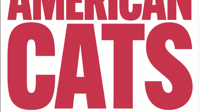 American Cats: The Good, The Bad, And The Cuddly